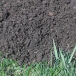 High quality soil from OSA